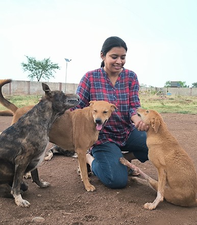 Vatika Animal Sanctuary: A Haven of Hope for Stray Animals